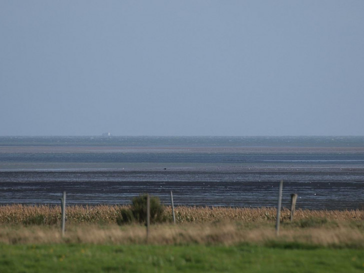 Das Wattenmeer an der Nordsee (Archiv)
