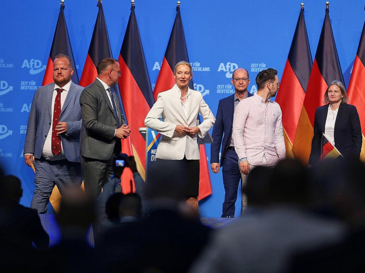 AfD-Vorstand (Archiv)