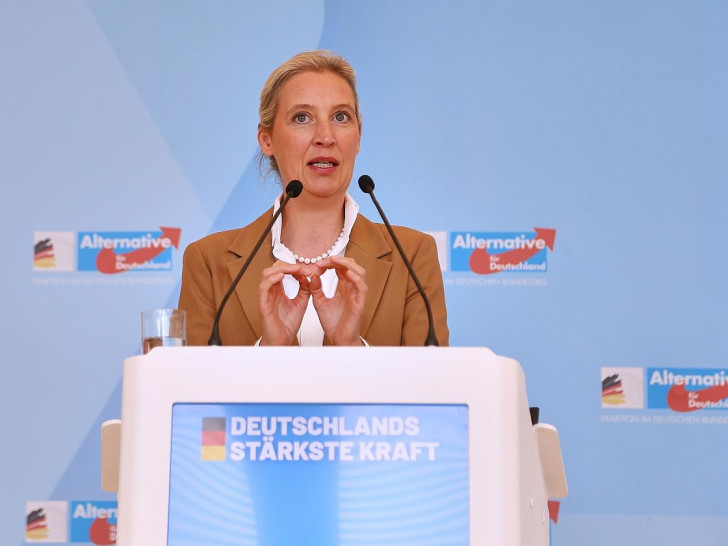 Alice Weidel (Archiv)