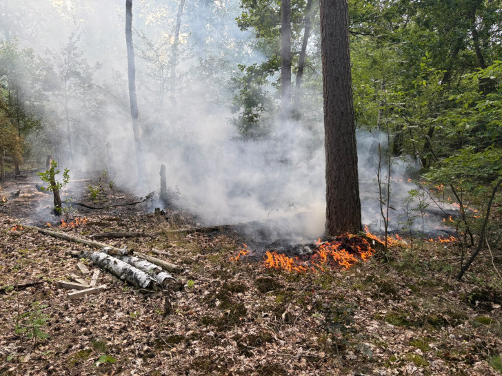 Am heutigen Dienstag kam es zu einem Waldbrand bei Wagenhoff.
