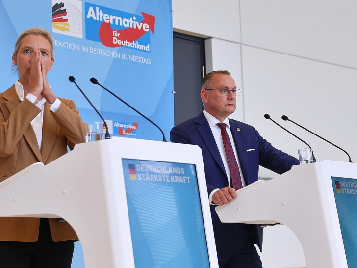 Alice Weidel und Tino Chrupalla (Archiv)