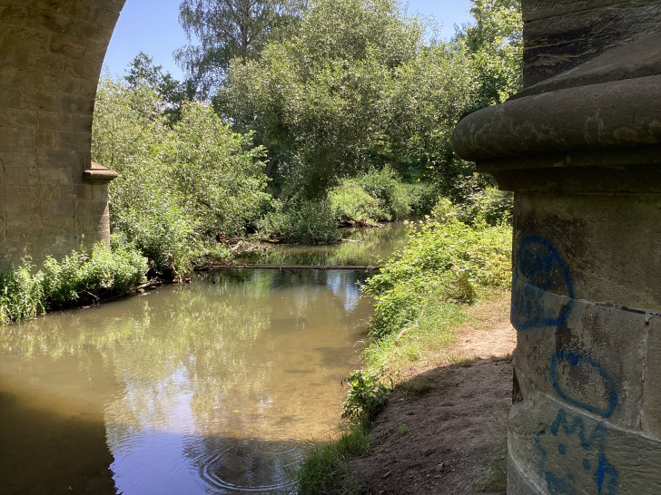 Viel zu trocken und wenig Wasser in den Gewässern, etwa in der Innerste bei Sehlde (Samtgemeinde Baddeckenstedt) im Juni des Jahres.
