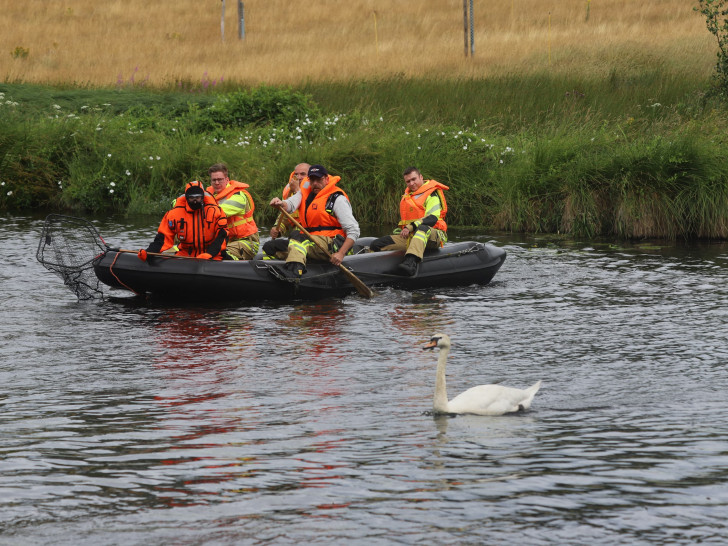 Die Feuerwehrleute schafften es nicht, den Schwan einzufangen.