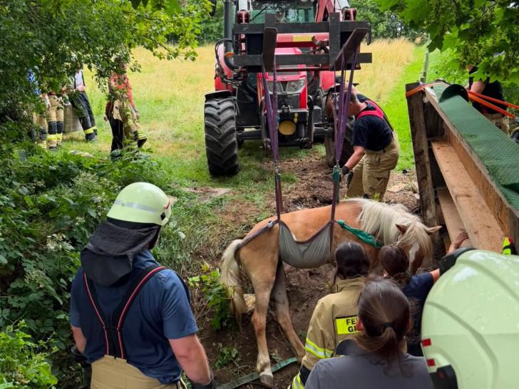 Das Pferd wurde mit Gurten aus seiner unglücklichen Lage befreit.