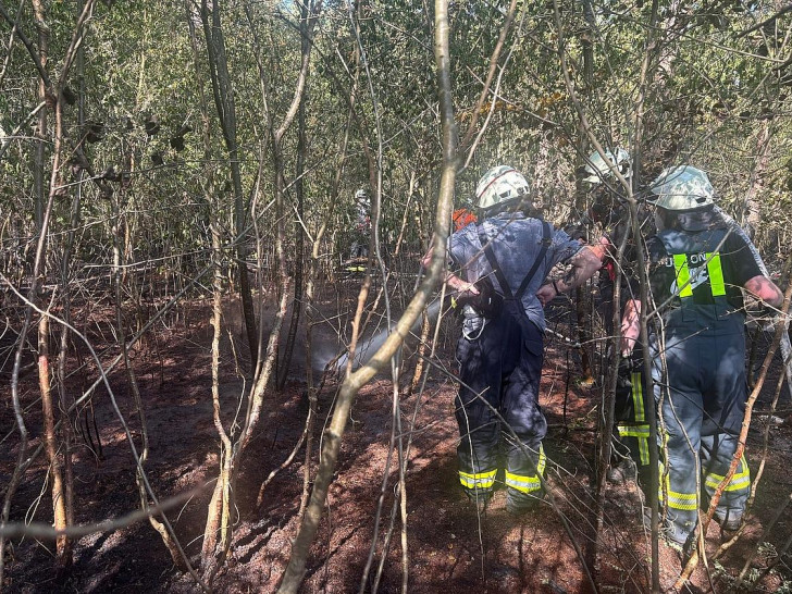 Die feuerwehr löscht Glutnester im Waldboden ab (Archiv)