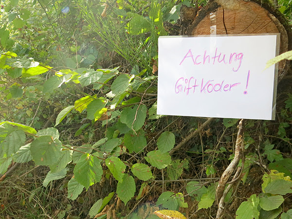 Giftköder sind oft gut versteckt.