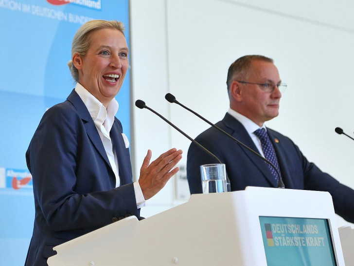 Alice Weidel und Tino Chrupalla (Archiv)