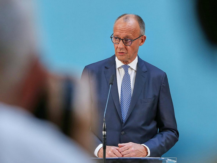Friedrich Merz (Archiv)