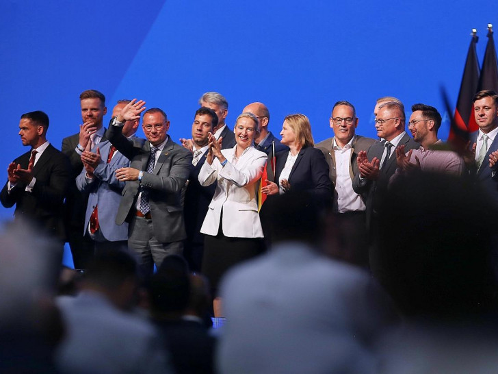 AfD-Vorstand (Archiv)