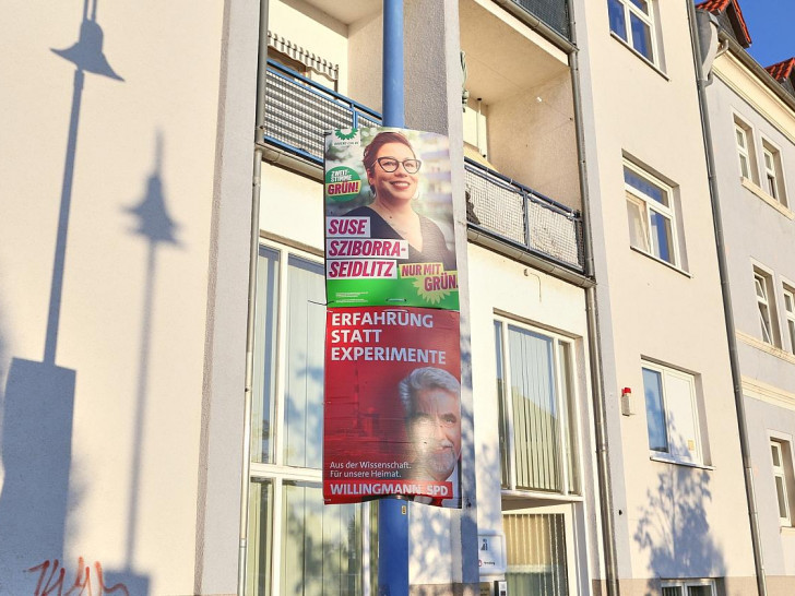 Wahlplakate vor der Landtagswahl in Sachsen-Anhalt (Archiv)