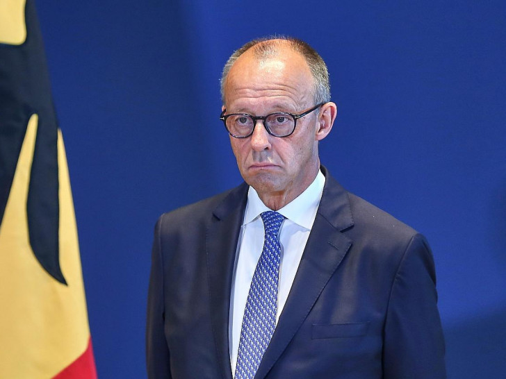 Friedrich Merz (Archiv)