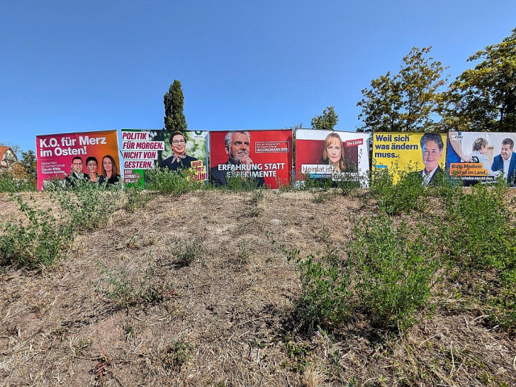 Wahlplakate vor der Landtagswahl in Sachsen-Anhalt (Archiv)