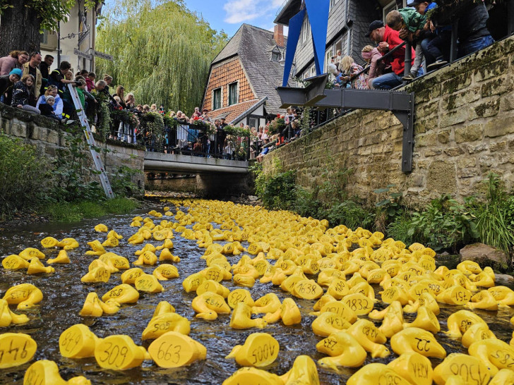 Welche wird die schnellste sein? Rund 2.000 Renn-Enten werden an den Start gehen.