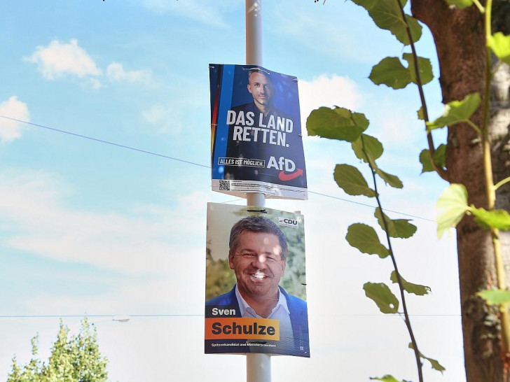 Wahlplakate vor der Landtagswahl in Sachsen-Anhalt (Archiv)