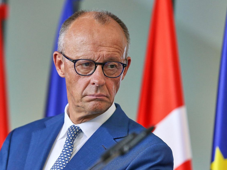 Friedrich Merz (Archiv)