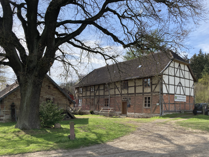 Treffpunkt ist das BUND-Waldhaus in Altenhagen.