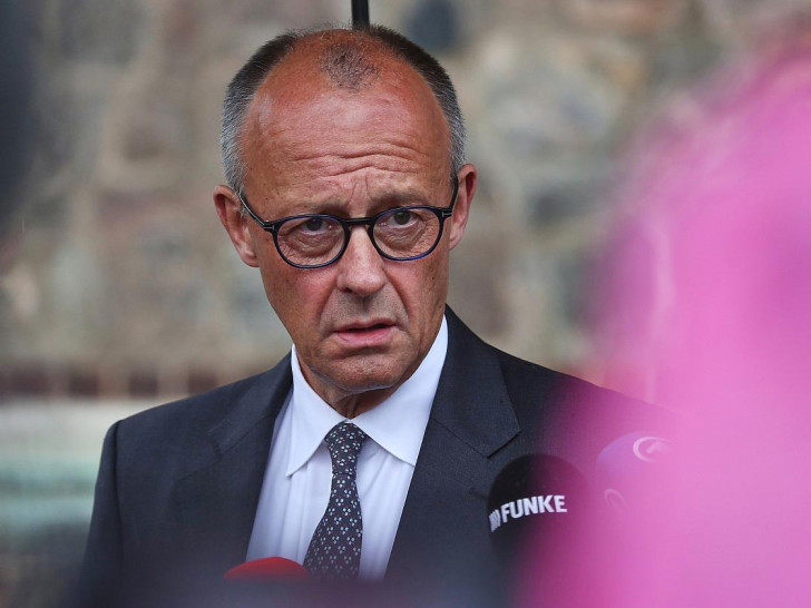 Friedrich Merz (Archiv)