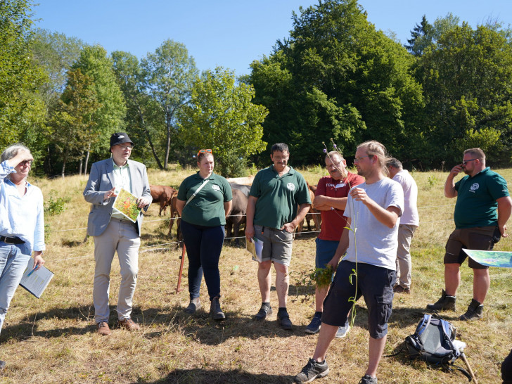 Die Besuchergruppe rund um Umweltminister Meyer macht sich ein Bild von der eindrucksvollen Artenvielfalt in den Oberharzer Bergwiesen, ein besonders schützenswerter Naturraum. 