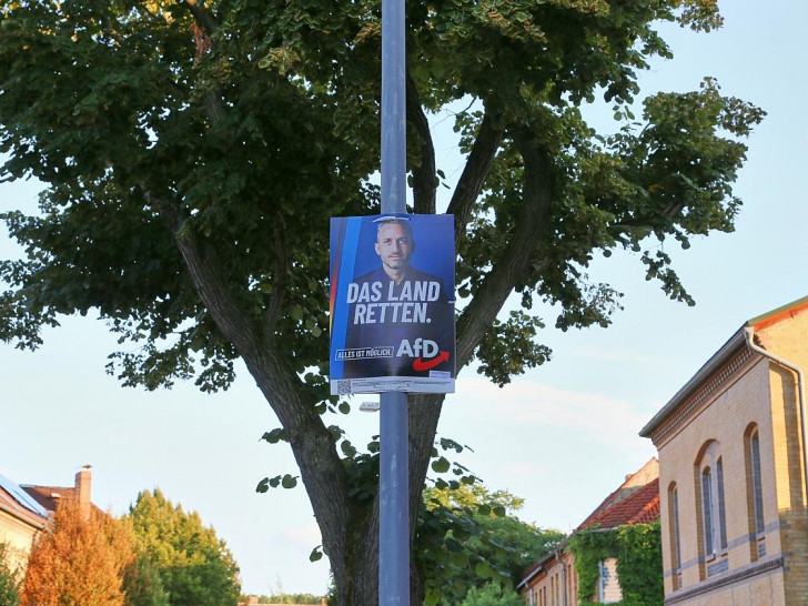 Wahlplakat vor der Landtagswahl in Sachsen-Anhalt (Archiv)