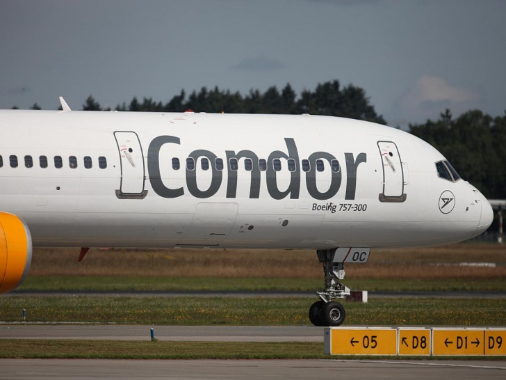 Condor (Archiv)