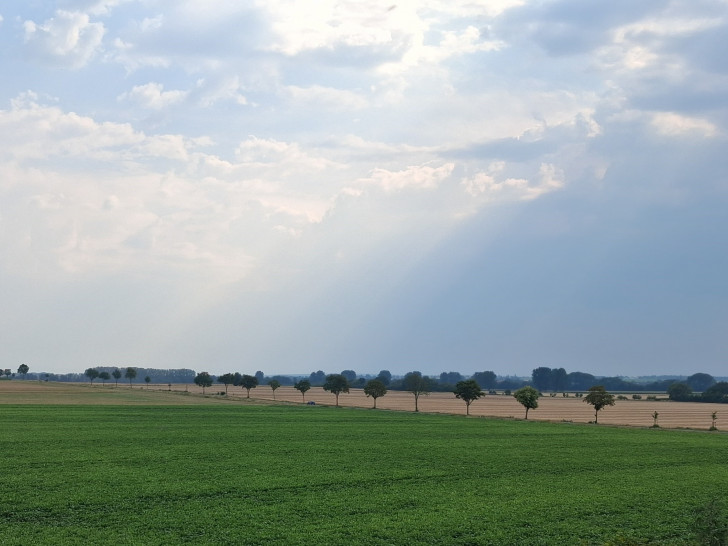 Hier könnten in Zukunft Windräder stehen.