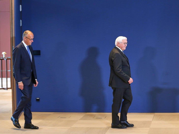 Friedrich Merz und Frank-Walter Steinmeier (Archiv)