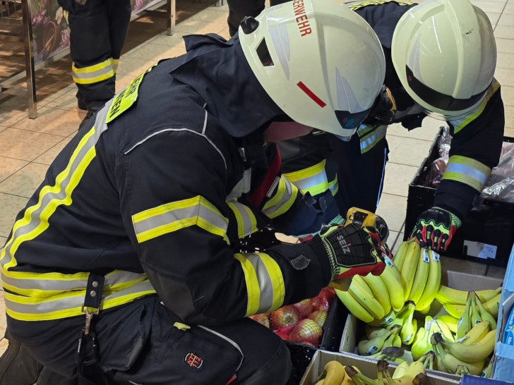 Die Feuerwehrleute durchsuchten zahlreiche Bananenkisten nach einer Spinne.
