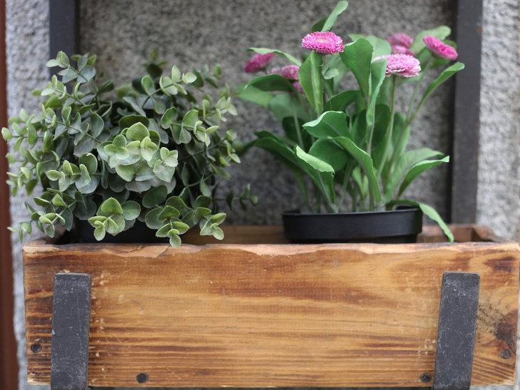 Blumen (Archiv)