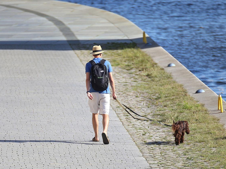 Mann mit Hund (Archiv)