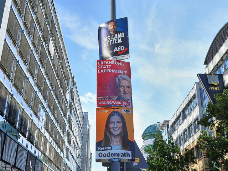 Wahlplakate vor der Landtagswahl in Sachsen-Anhalt (Archiv)