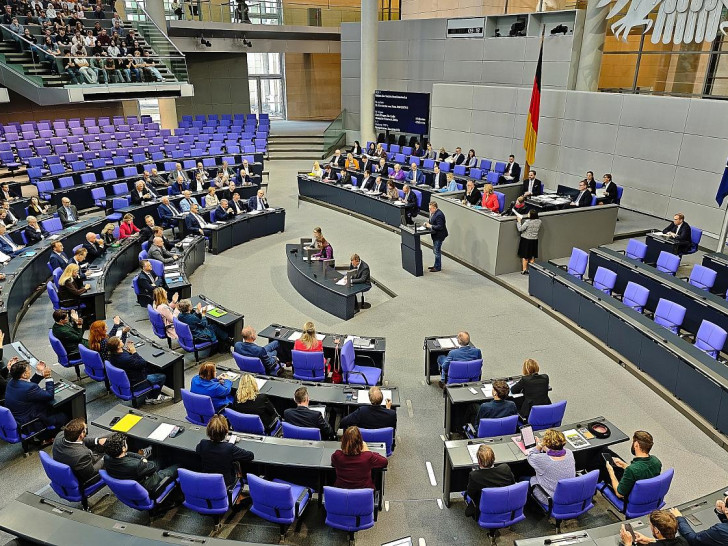 Bundestagssitzung (Archiv)