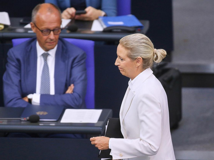 Friedrich Merz und Alice Weidel (Archiv)