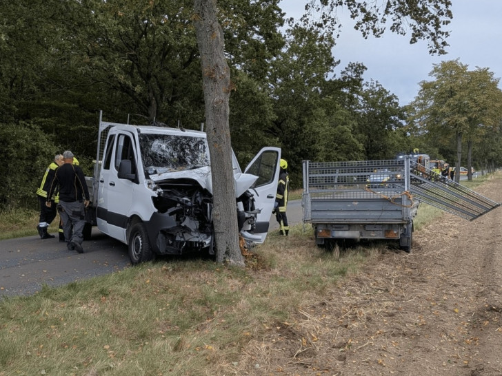 Der Wagen war frontal mit dem Baum kollidiert.