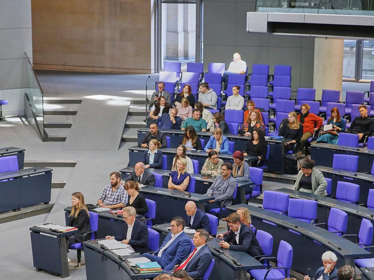 Linke-Bundestagsfraktion (Archiv)