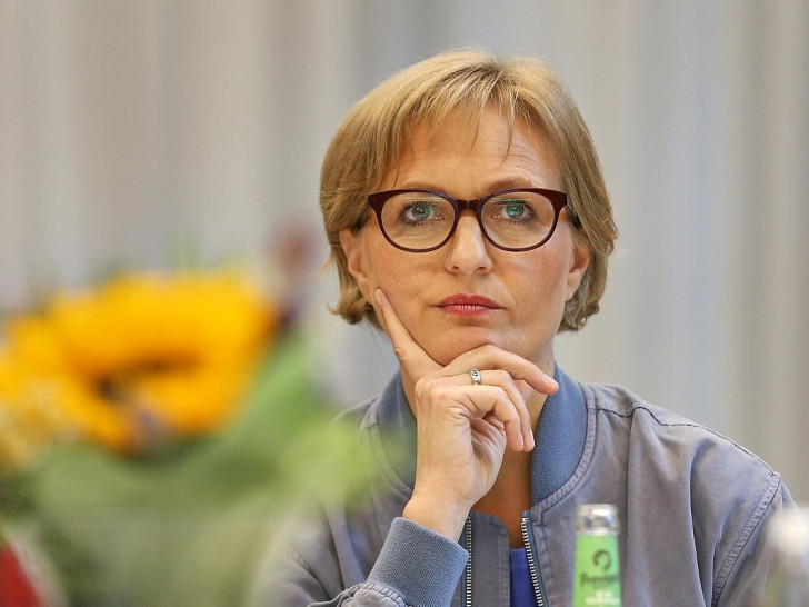 Franziska Brantner (Archiv)