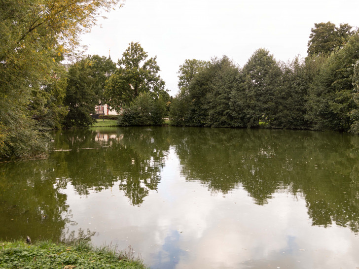 Der Schlossteich in Salder sei in Besorgnis erregendem Zustand, sagen Anwohner. Die Stadt arbeitet an einem Konzept zu ihren Stillgewässern.