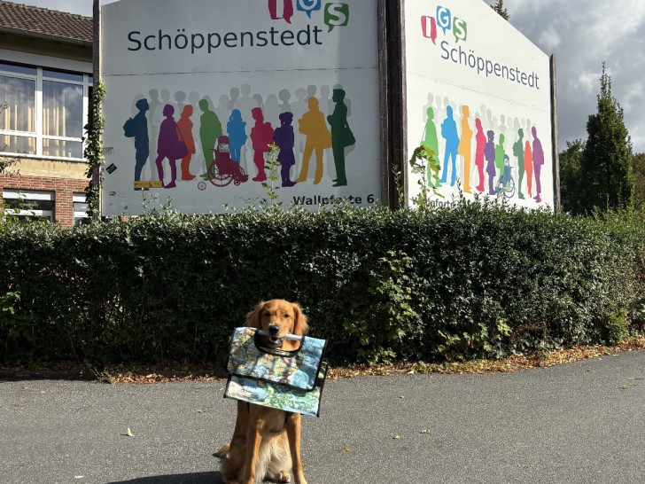 Die zweijährige Golden-Retriever-Hündin Marly ist Schulhündin der IGS.