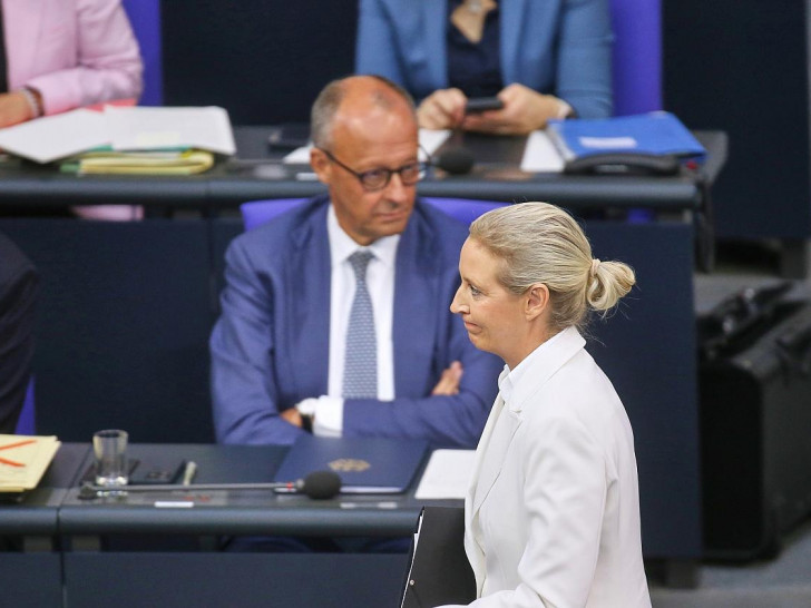Friedirch Merz und Alice Weidel (Archiv)