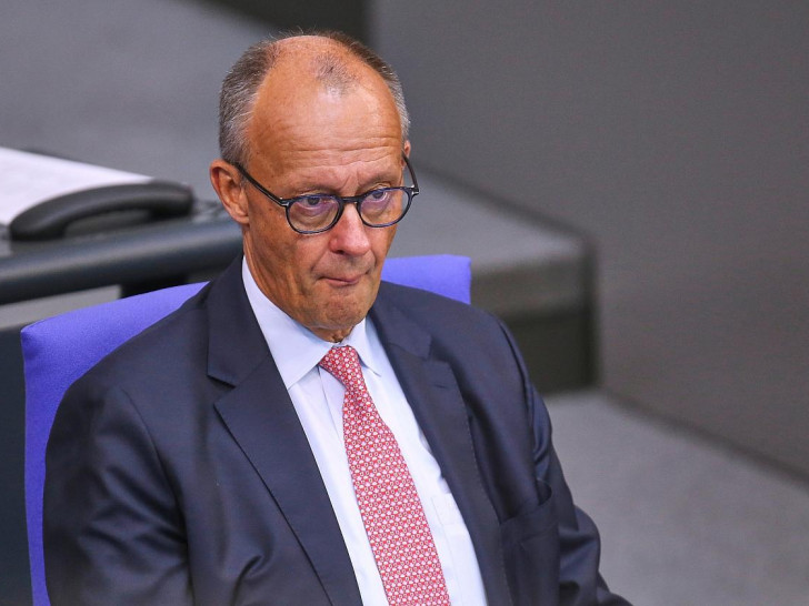 Friedrich Merz (Archiv)