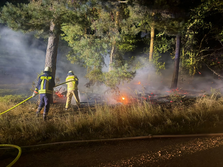 Mehrere Waldbrände forderten die Einsatzkräfte am Wochenende.