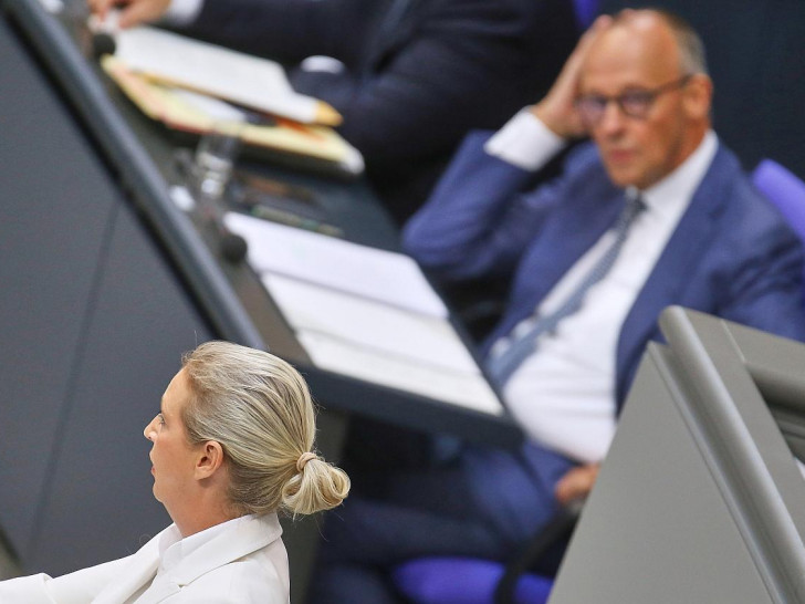 Alice Weidel und Friedrich Merz (Archiv)