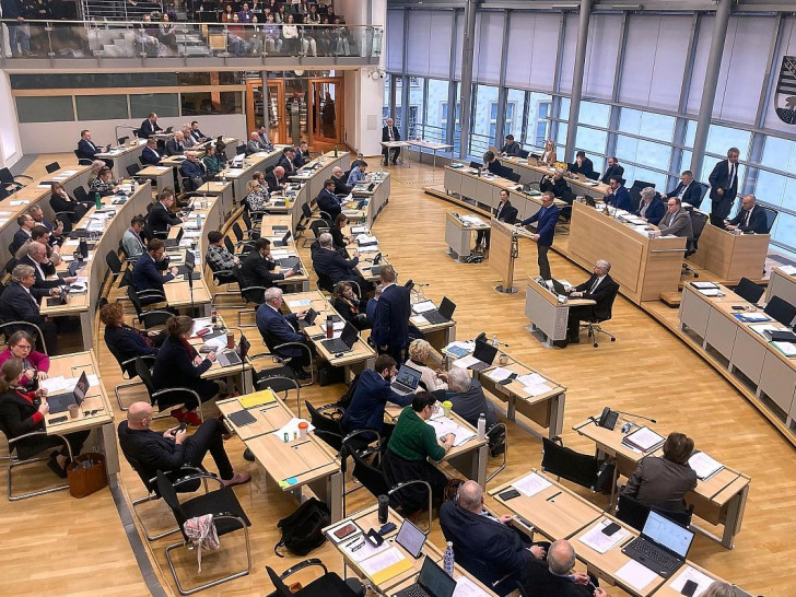Sitzung des Landtags von Sachsen-Anhalt (Archiv)