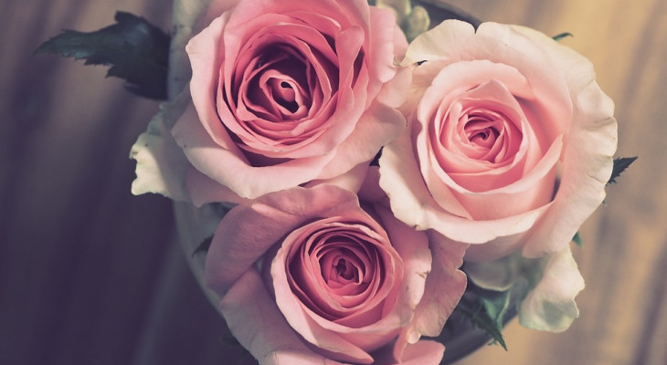 Warum der Muttertag mehr ist als nur ein blumiges Geschäft