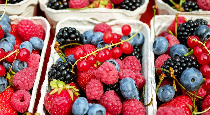 Obst im öffentlichen Raum: Wo man zugreifen darf – und wo nicht